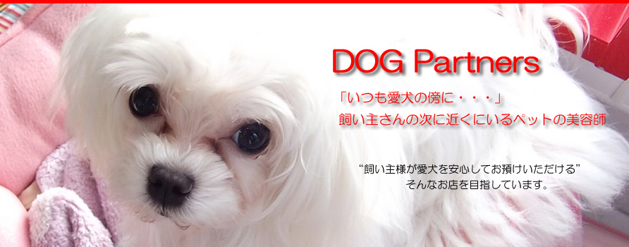 DOG Partners「いつも愛犬の傍に・・」飼い主さんの次に近くにいるペットの美容師　”飼い主様が愛犬を安心してお預けいただける”そんなお店を目指しています。
